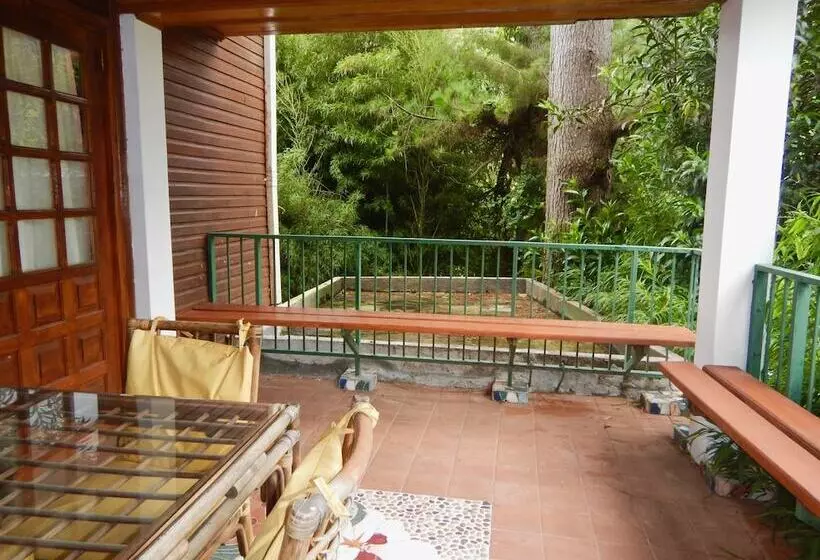 ホテル Los Quetzales Ecolodge & Spa