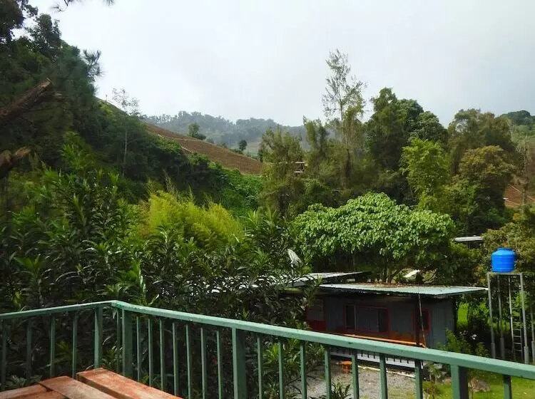 ホテル Los Quetzales Ecolodge & Spa