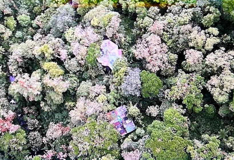 Hotel Los Quetzales Ecolodge & Spa