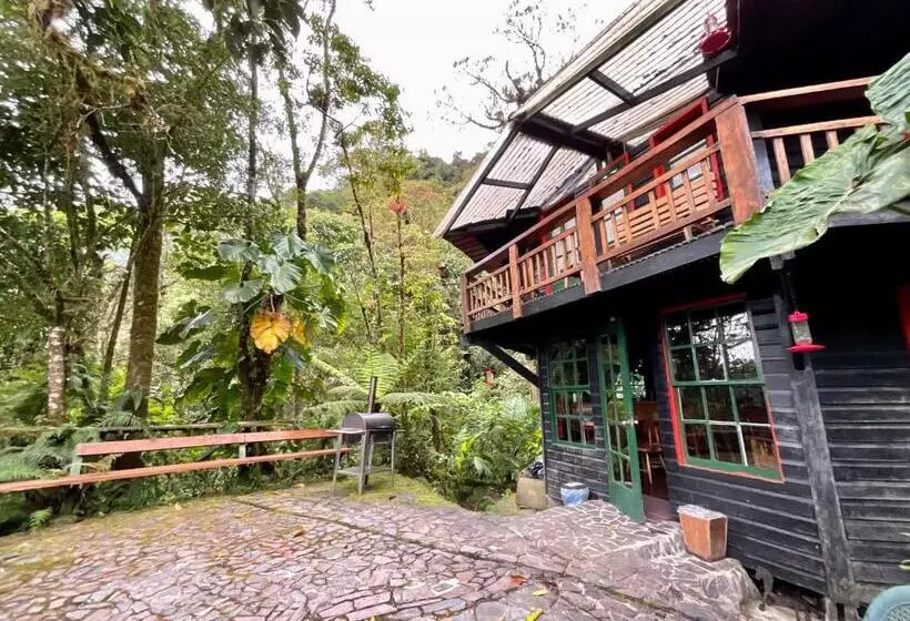 ホテル Los Quetzales Ecolodge & Spa