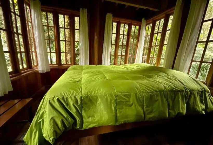 ホテル Los Quetzales Ecolodge & Spa