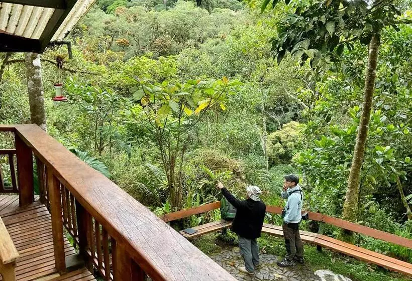 ホテル Los Quetzales Ecolodge & Spa