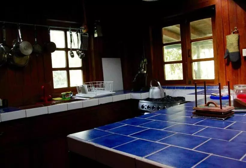 ホテル Los Quetzales Ecolodge & Spa