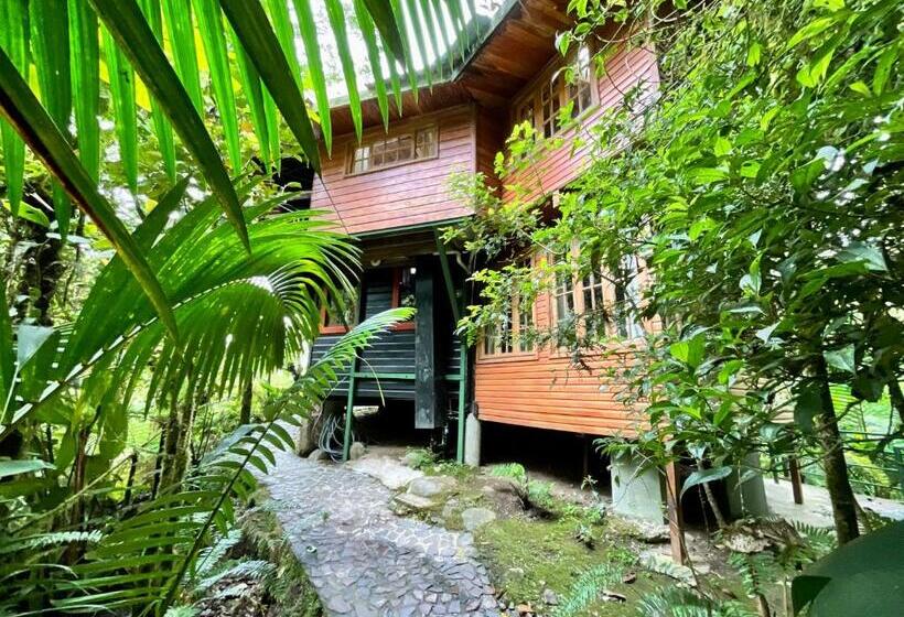 Hotel Los Quetzales Ecolodge & Spa