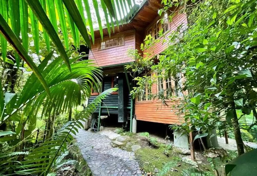ホテル Los Quetzales Ecolodge & Spa