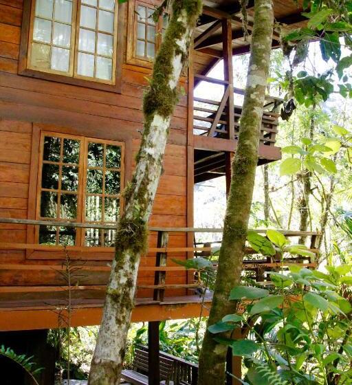 Hotel Los Quetzales Ecolodge & Spa