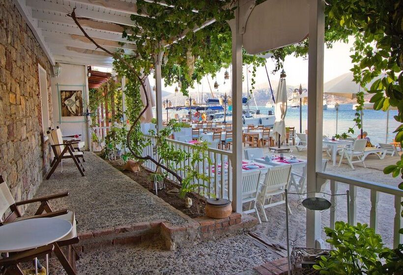 酒店 Losta Sahil Evi 2