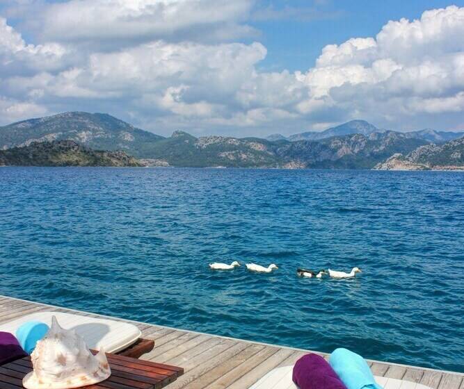 Отель Losta Sahil Evi 2