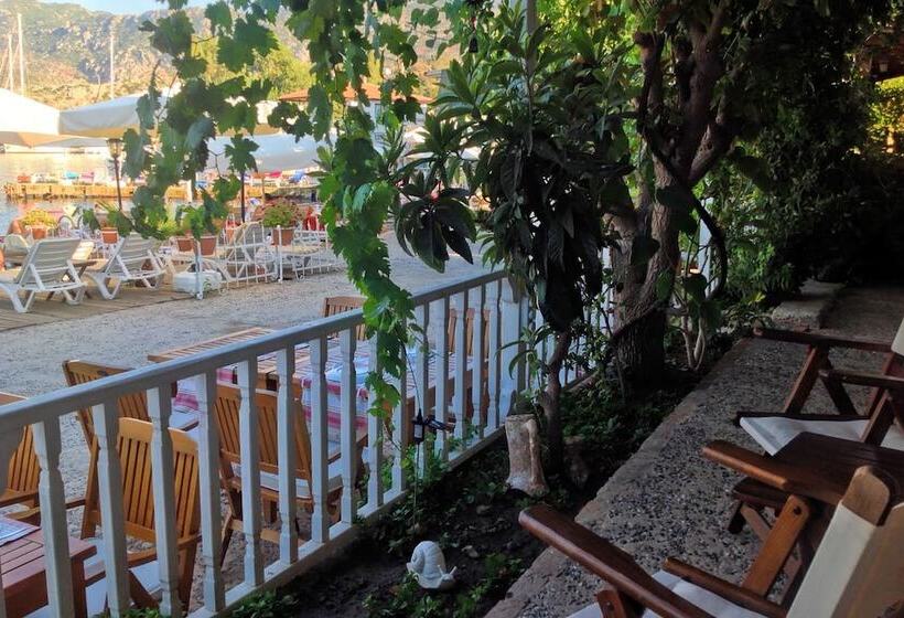 Отель Losta Sahil Evi 2