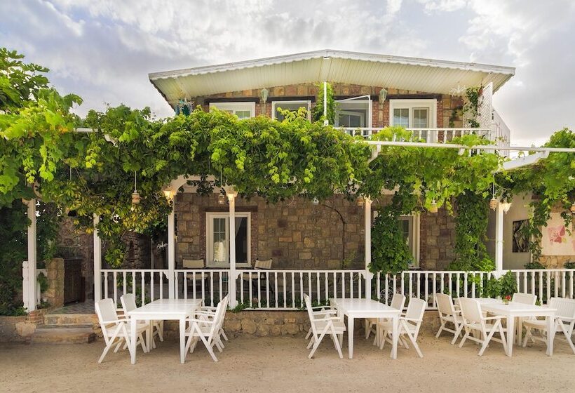 Отель Losta Sahil Evi 2