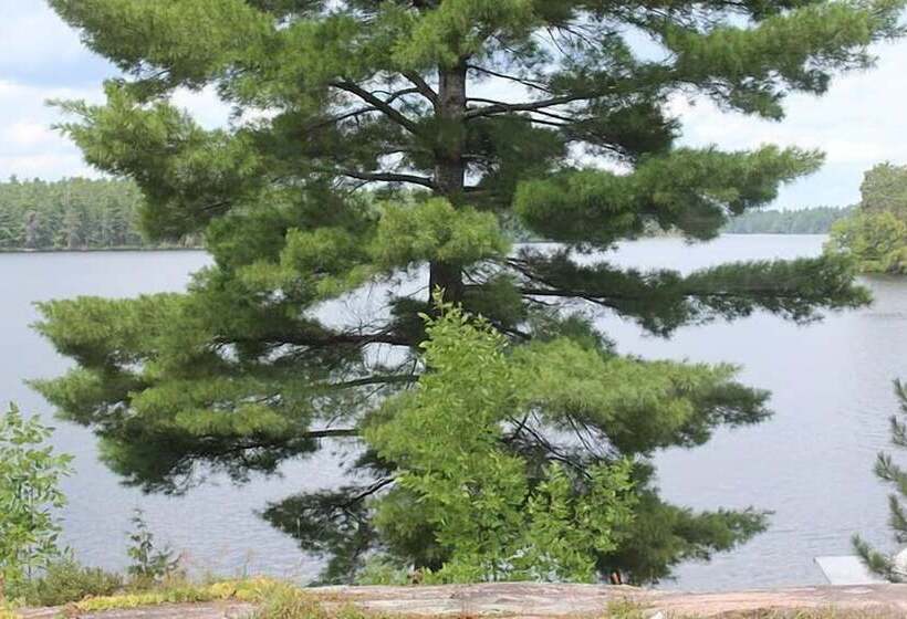 Отель Mashkinonje Lodge