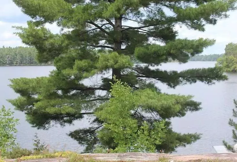 Hotelli Mashkinonje Lodge