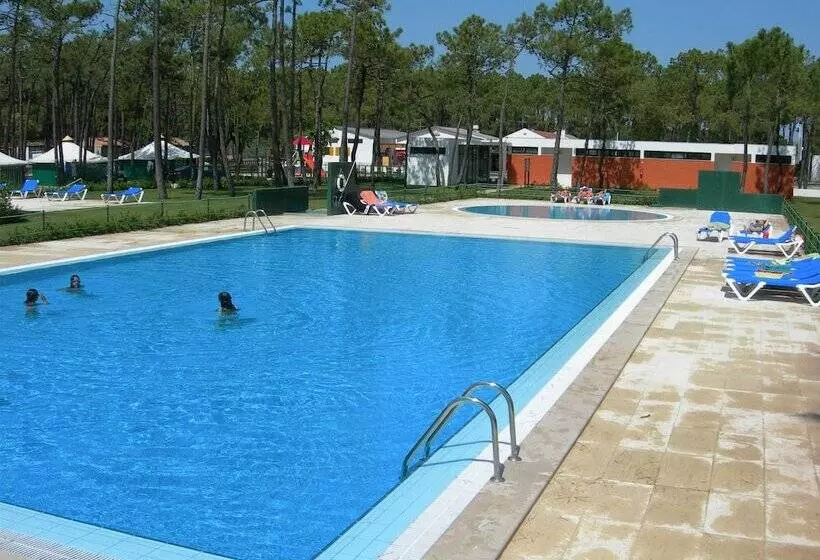 ホテル Parque De Campismo Orbitur Gala