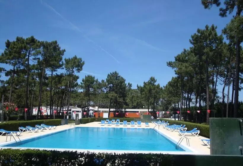 ホテル Parque De Campismo Orbitur Gala