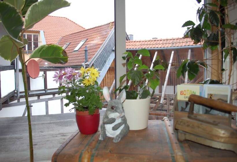 בית מלון כפרי Ratsherberge Waltershausen