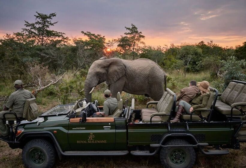 호텔 Royal Malewane