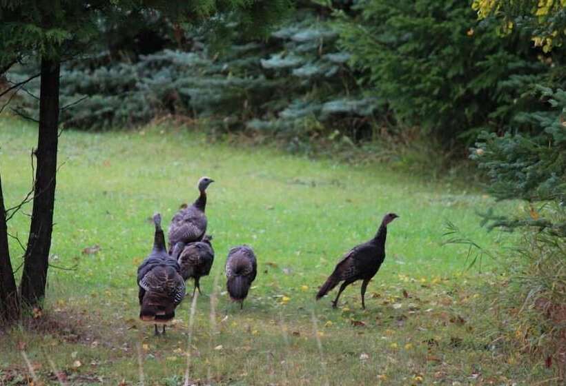 فندق على الطريق Chicaugon Lake Inn