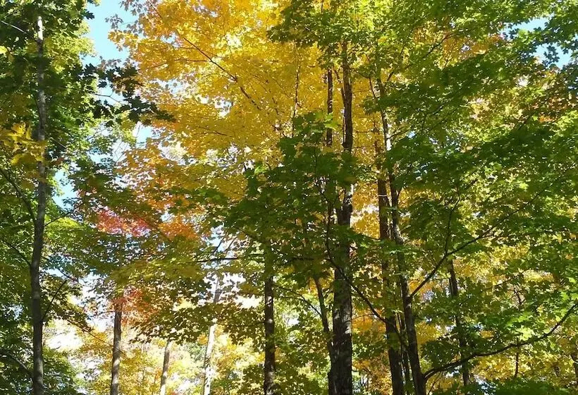 Motelli Chicaugon Lake Inn