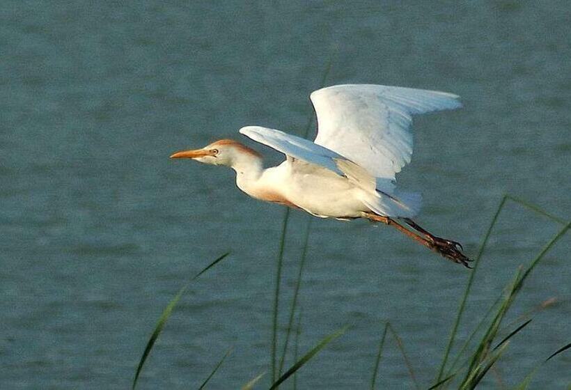 פנסיון La Sterne De Loire Maison D Hôtes