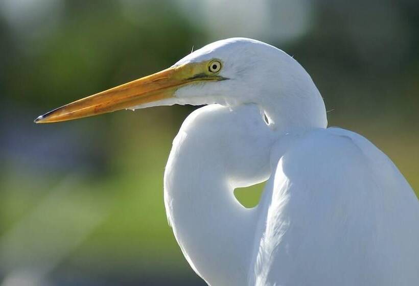 פנסיון La Sterne De Loire Maison D Hôtes
