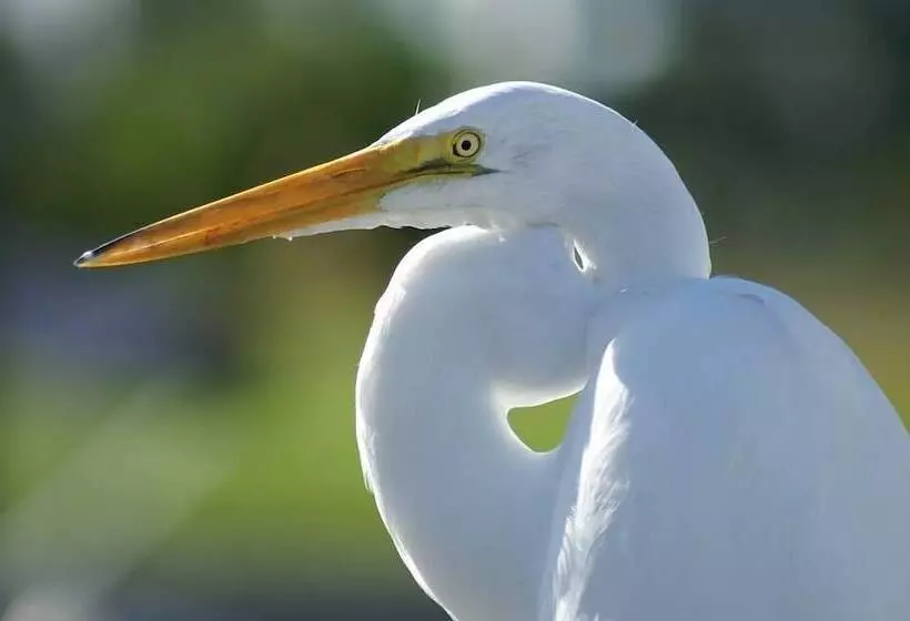 Majatalo La Sterne De Loire Maison D Hôtes