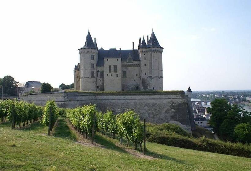 פנסיון La Sterne De Loire Maison D Hôtes