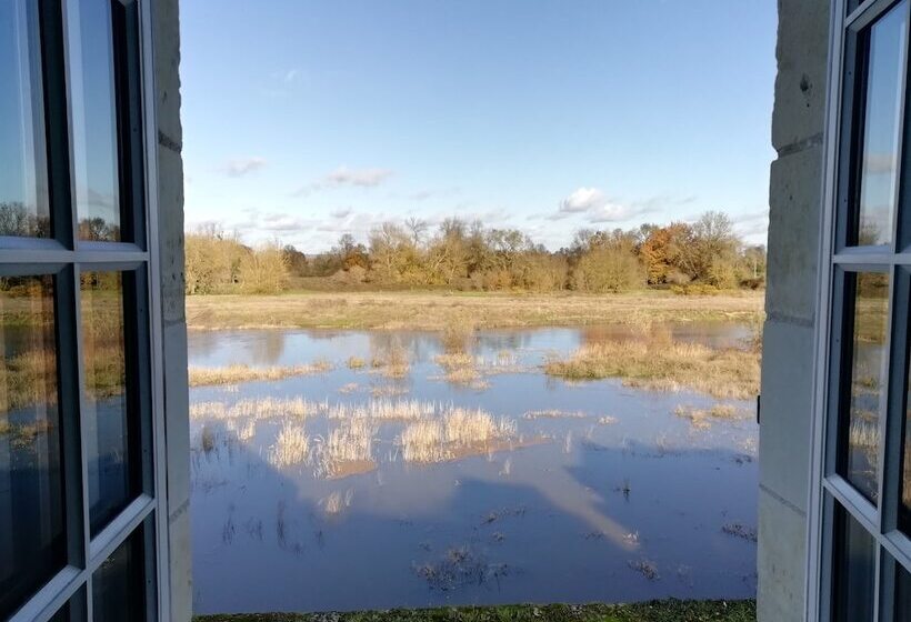 פנסיון La Sterne De Loire Maison D Hôtes
