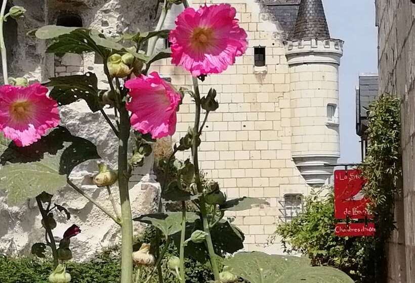 פנסיון La Sterne De Loire Maison D Hôtes
