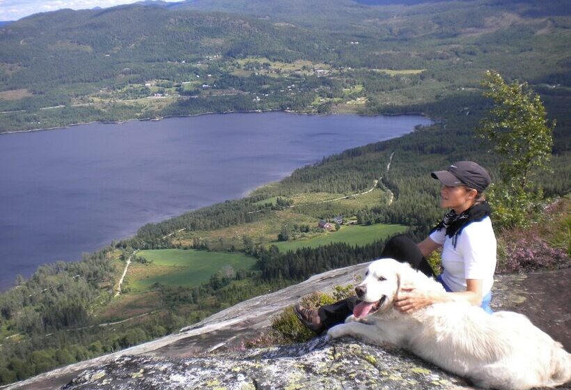 Telemark Motel And Apartment