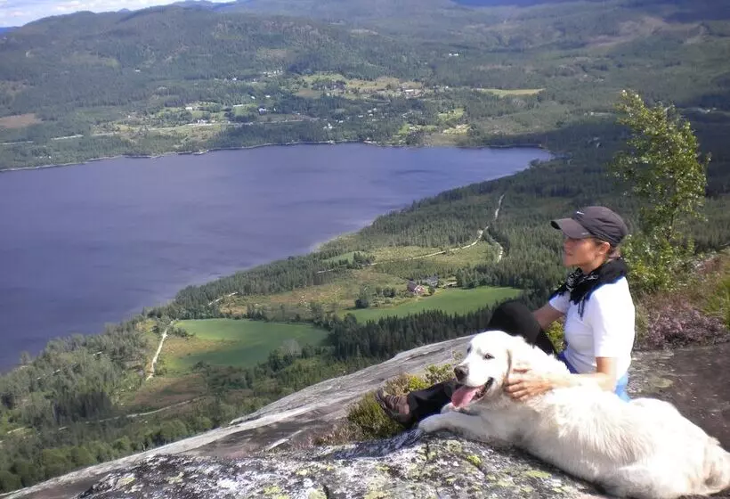 Telemark Motel And Apartment