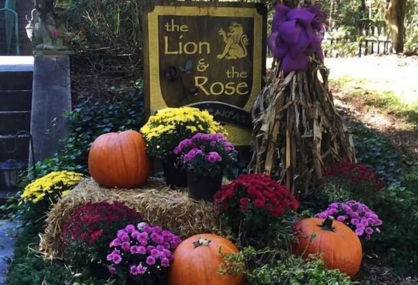 The Lion And The Rose B&b