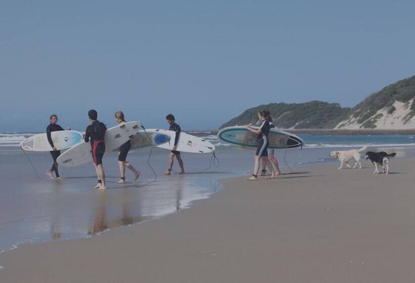 ユースホステル Buccaneers Backpackers