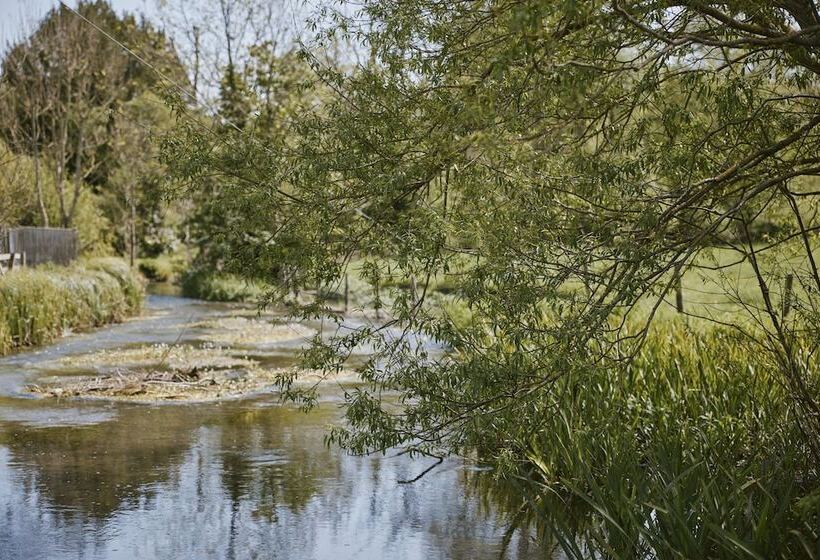 ベッドアンドブレックファースト The Bucks Head