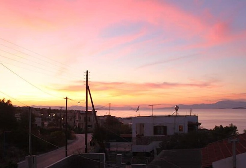 Blue Dolphin Studios And Apartment