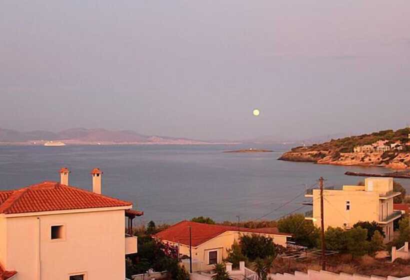 Blue Dolphin Studios And Apartment