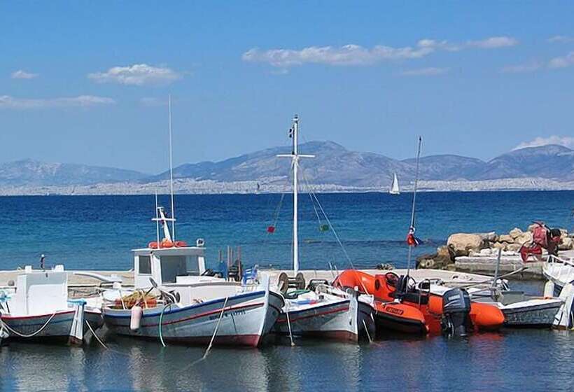 Blue Dolphin Studios And Apartment