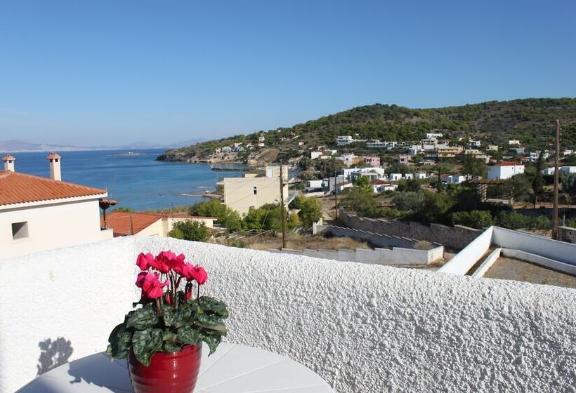 Blue Dolphin Studios And Apartment