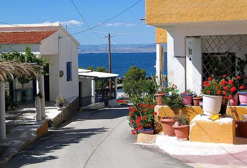 Blue Dolphin Studios And Apartment