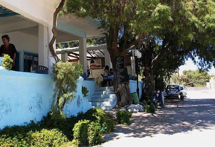 Blue Dolphin Studios And Apartment