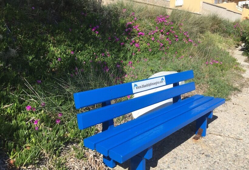 Blue Dolphin Studios And Apartment