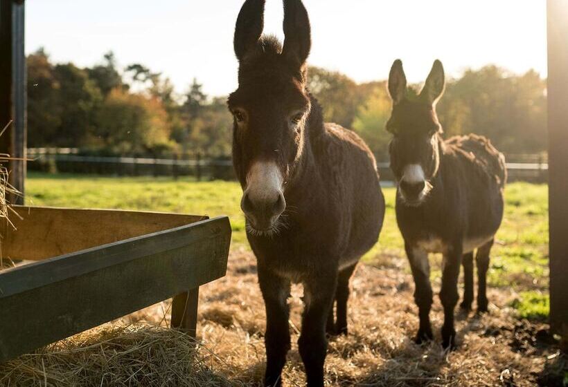 호텔 La Grée Des Landes, Eco Hôtel Spa Yves Rocher