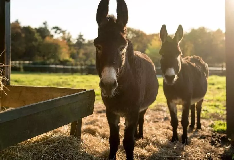 ホテル La Grée Des Landes, Eco Hôtel Spa Yves Rocher