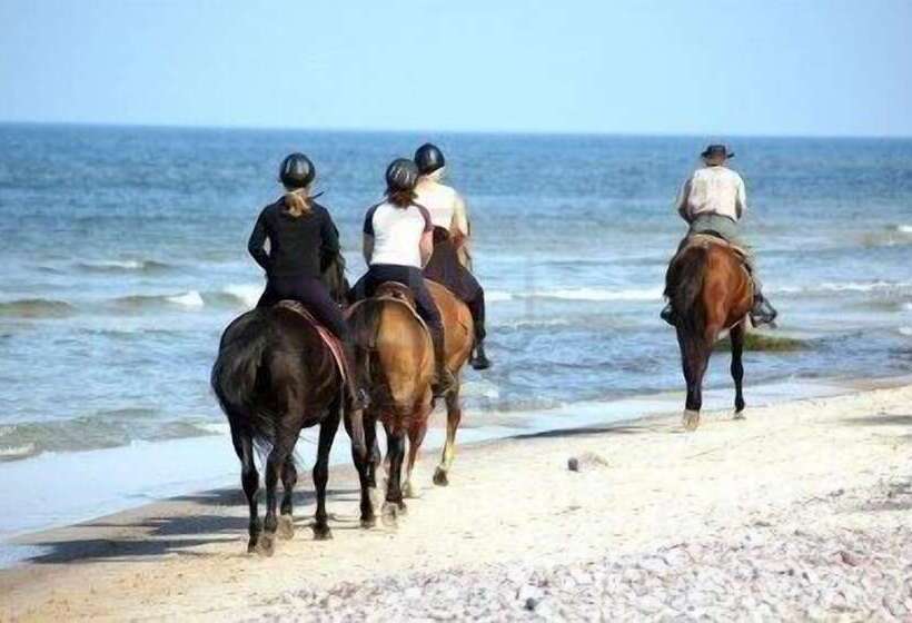 هتل Lofos Studios