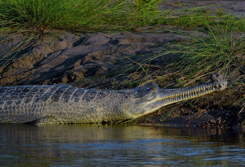 هتل Machan Country Villa