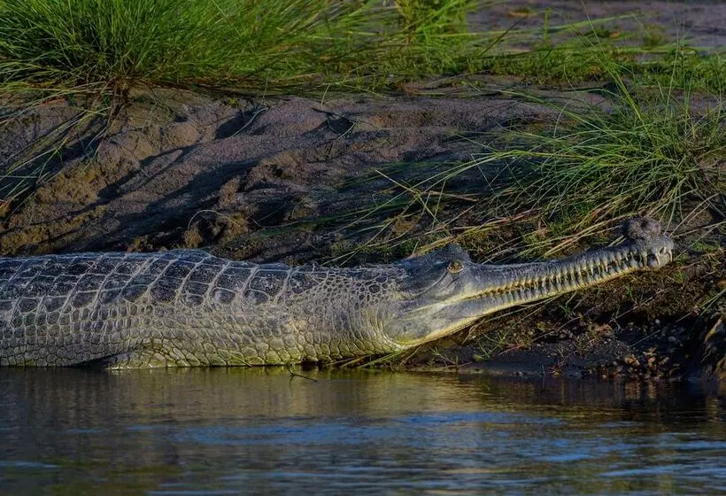 هتل Machan Country Villa