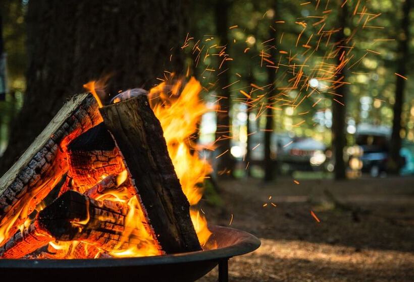 酒店 Paradise Rv Campground