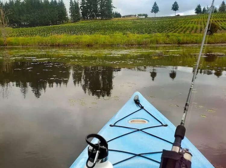 Hotelli Paradise Rv Campground