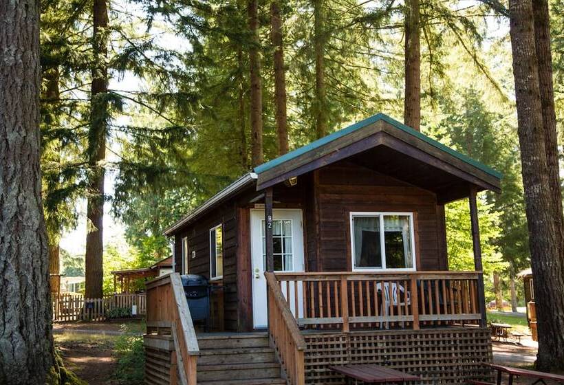 酒店 Paradise Rv Campground