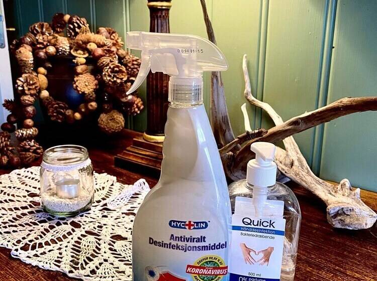 Hotel Rundhaug Gjestegard