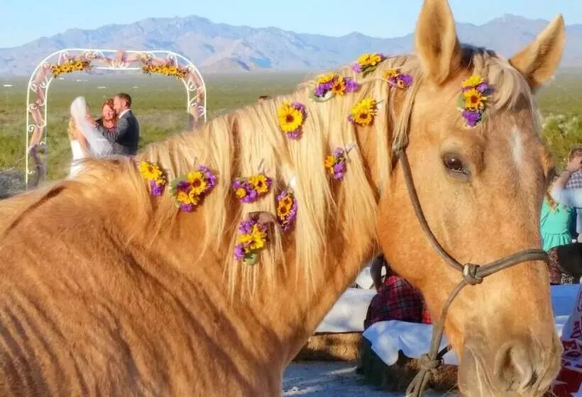 Maaseutuhotelli Stagecoach Trails Guest Ranch